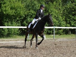 IMG_4900_web